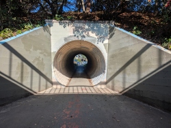 pxl20260203221843006