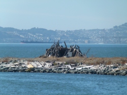 previous