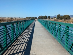 previous