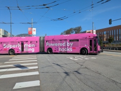 pxl20260206184316254