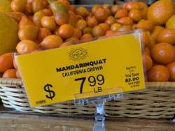 pxl20260206194837745