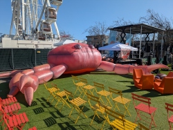 pxl20260206215034619