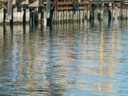 previous