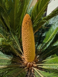 pxl20260704230019524