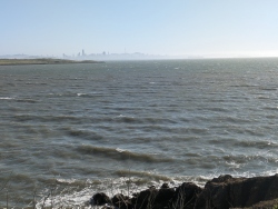 previous
