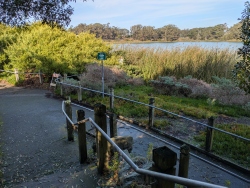previous