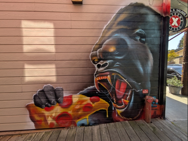 photo