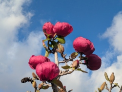 pxl20260220003222402