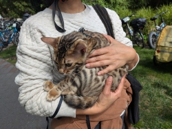 pxl20260419210019120