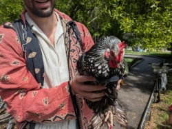 pxl20260419212100405