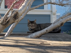 pxl20260118211616897