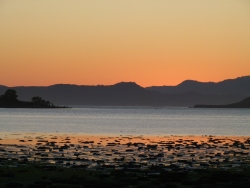 previous