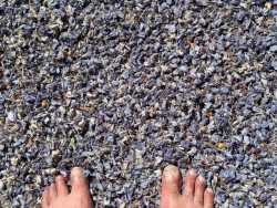 pxl20260324215007489