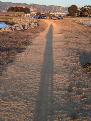 previous