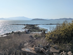 previous