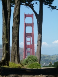 previous