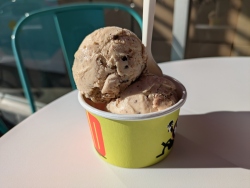 pxl20260128224257397