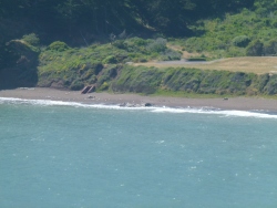previous