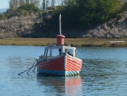 previous