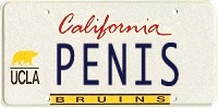 license