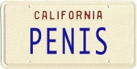 license