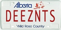 license