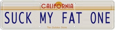 license