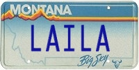 license