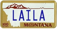 license