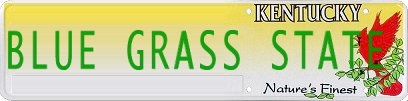 license