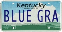 license