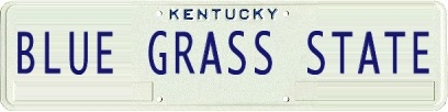 license